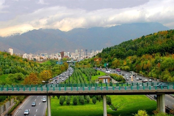 محیط زیست